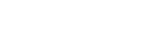 Verito Global Inc footer Logo